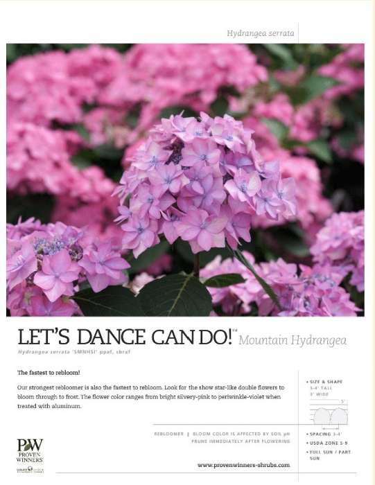Preview of Let’s Dance Can Do!® spec sheet PDF
