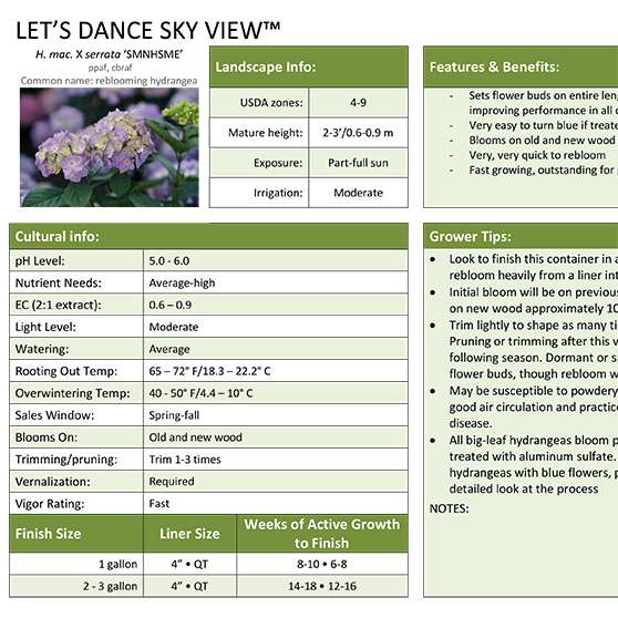 Preview of Let’s Dance Sky View™ Hydrangea Grower Sheet PDF