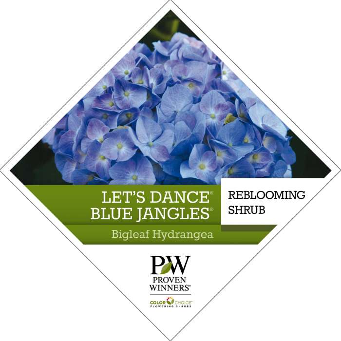 Preview of Let’s Dance® Blue Jangles® Hydrangea Tag PDF