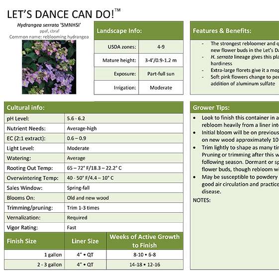 Preview of Let’s Dance Can Do!® hydrangea professional grower sheet PDF