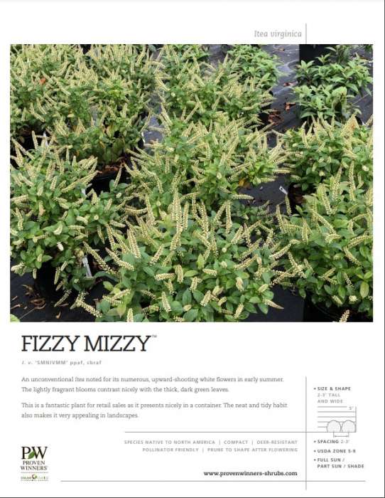 Preview of Fizzy Mizzy™ spec sheet PDF