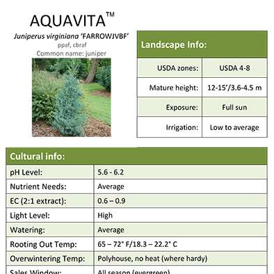 Preview of Aquavita™ Juniperus Grower Sheet PDF