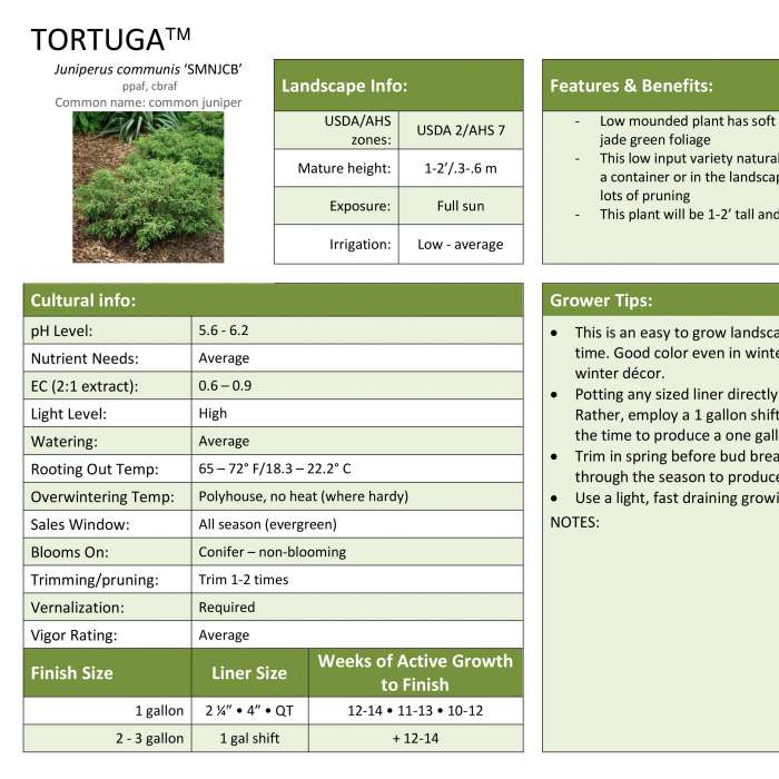 Preview of Tortuga™ Juniper Grower Sheet PDF