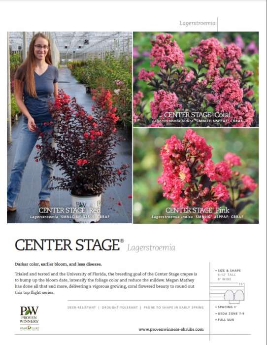 Preview of Center Stage Lagerstroemia Spec Sheet PDF