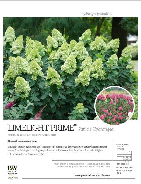 Preview of Limelight Prime® spec sheet  PDF