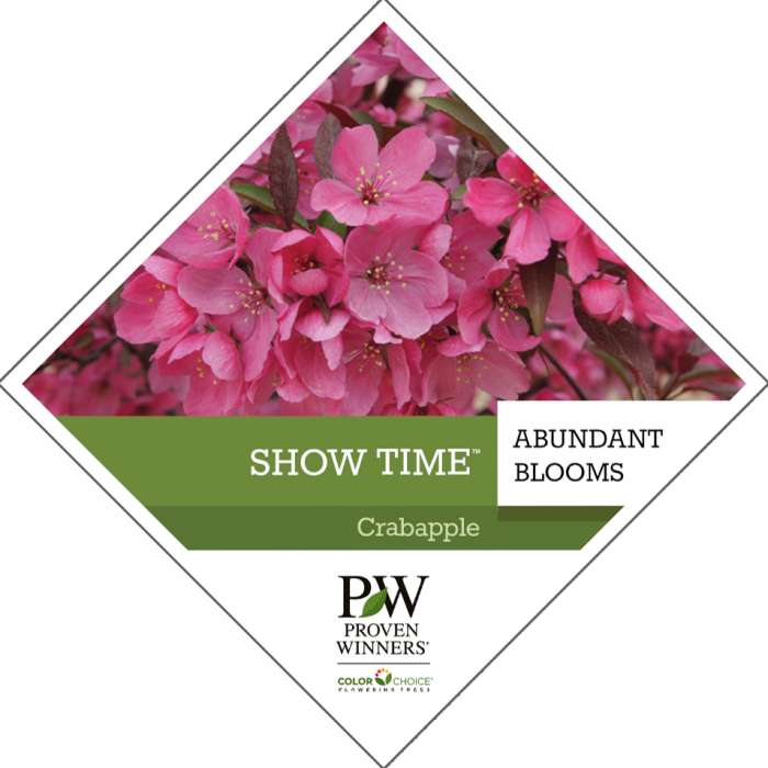 Preview of Show Time® Crabapple Tag PDF