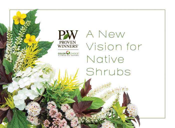 Preview of A New Vision for Native Shrubs PDF