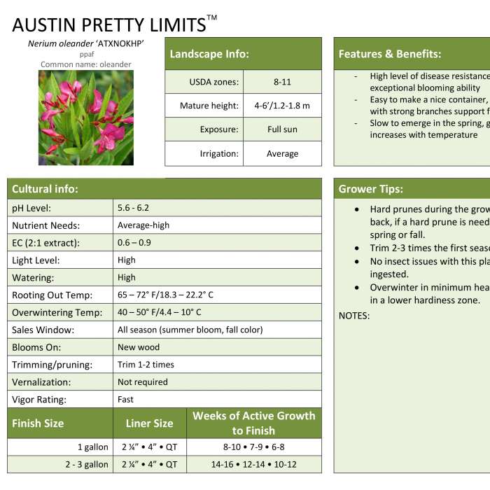 Preview of Austin Pretty Limits® Nerium Professional Grower Sheet PDF