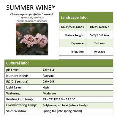 Preview of Summer Wine® Physocarpus Grower Sheet PDF