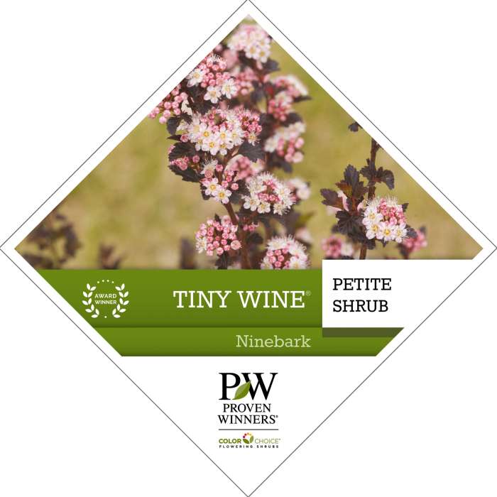 Preview of Tiny Wine® Physocarpus Tag PDF