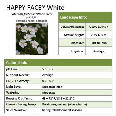 Preview of Happy Face® White Potentilla Grower Sheet PDF