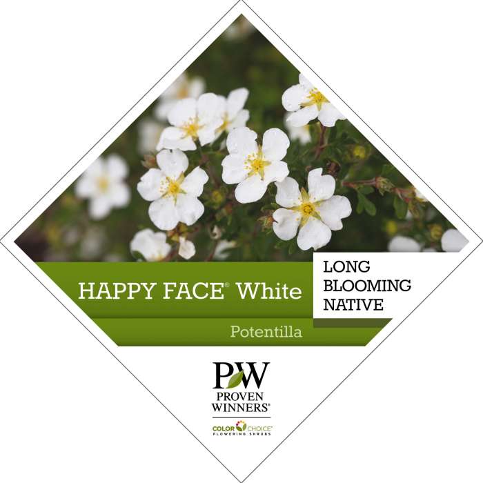 Preview of Happy Face® White Potentilla Tag PDF