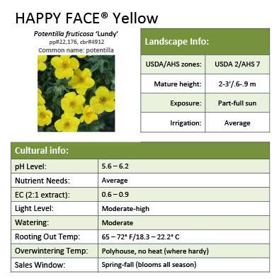 Preview of Happy Face® Yellow Potentilla Grower Sheet PDF