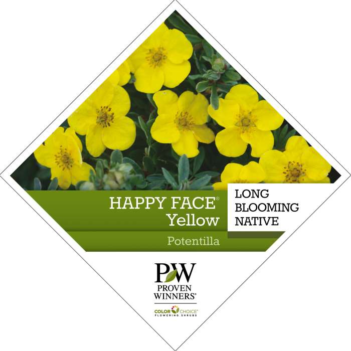 Preview of Happy Face® Yellow Potentilla Tag PDF