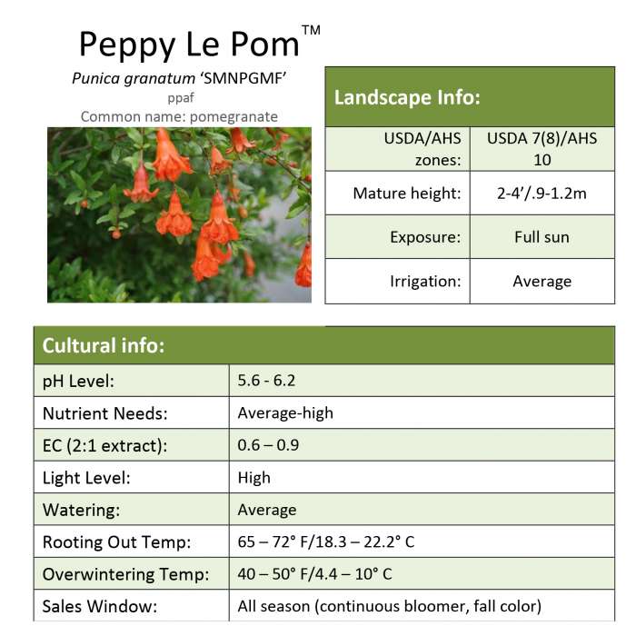 Preview of Peppy Le Pom™ Punica Grower Sheet PDF