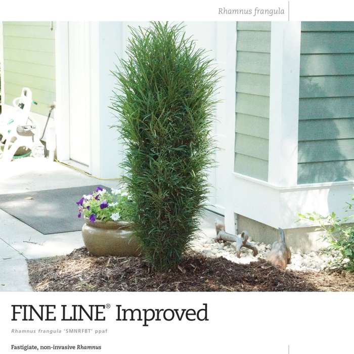 Preview of Fine Line® Improved spec sheet PDF