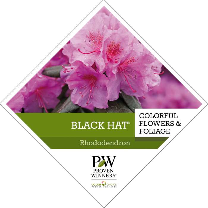 Preview of Black Hat® Rhododendron Tag PDF