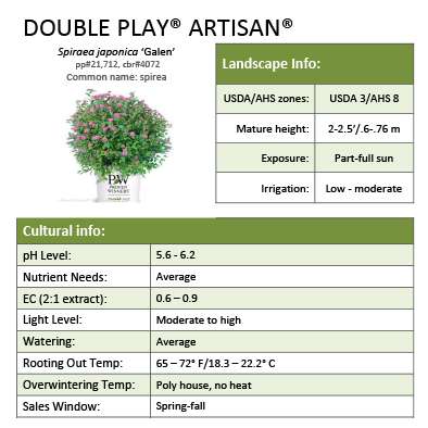 Preview of Double Play® Artisan® Spiraea Grower Sheet PDF