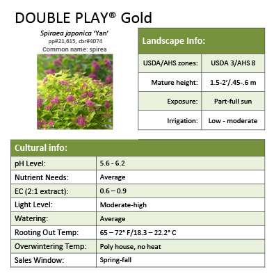 Preview of  Double Play® Gold Spiraea Grower Sheet PDF