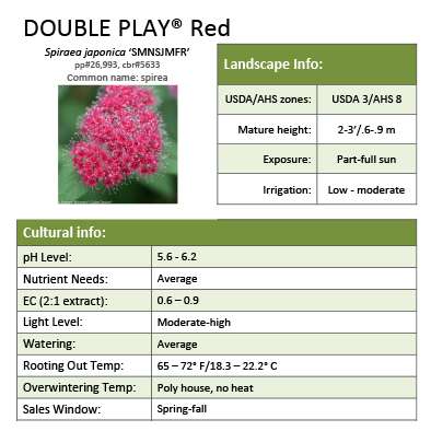 Preview of Double Play® Red Spiraea Grower Sheet PDF