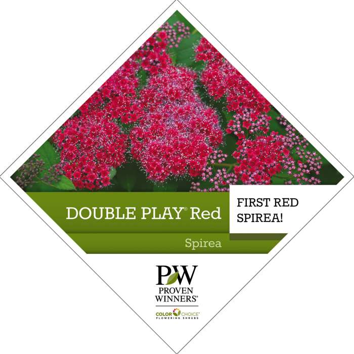 Preview of Double Play® Red Spiraea Tag PDF