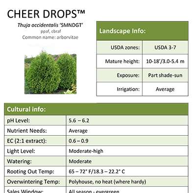 Preview of Cheer Drops™ Thuja Grower Sheet PDF