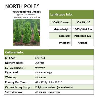 Preview of North Pole® Thuja Grower Sheet PDF