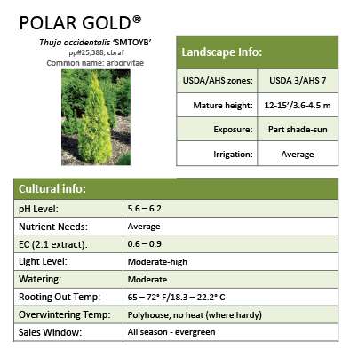 Preview of Polar Gold® Thuja Grower Sheet PDF