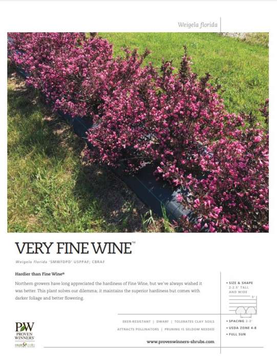 Preview of Very Fine Wine™ Weigela spec sheet PDF