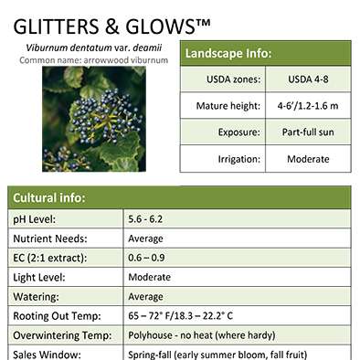 Preview of Glitters & Glows™ Viburnum Grower Sheet PDF