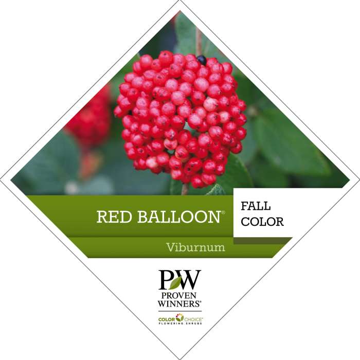 Preview of Red Balloon® Viburnum Tag PDF