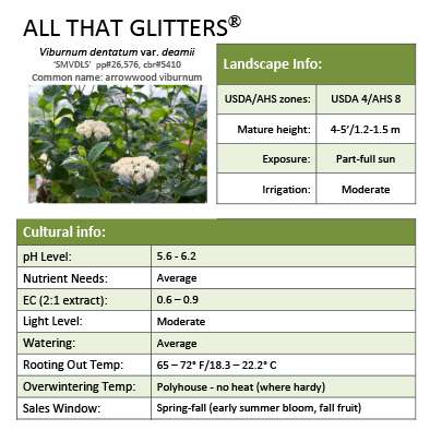 Preview of All That Glitters® Viburnum Grower Sheet PDF