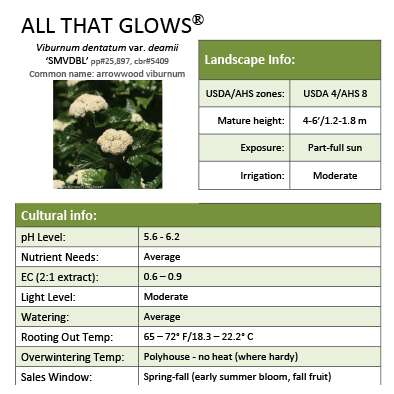 Preview of All That Glows® Viburnum Grower Sheet PDF