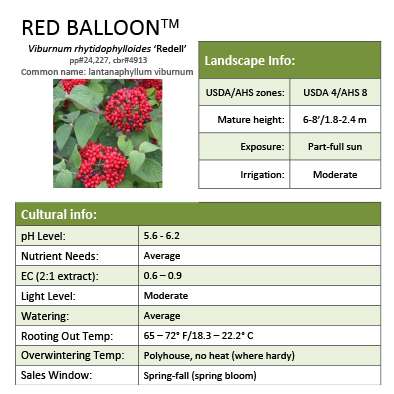 Preview of Red Balloon® Viburnum Grower Sheet PDF