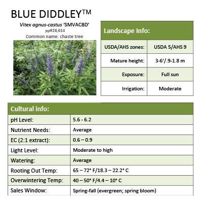 Preview of Blue Diddley® Vitex Grower Sheet PDF