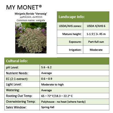 Preview of My Monet® Weigela Grower Sheet PDF