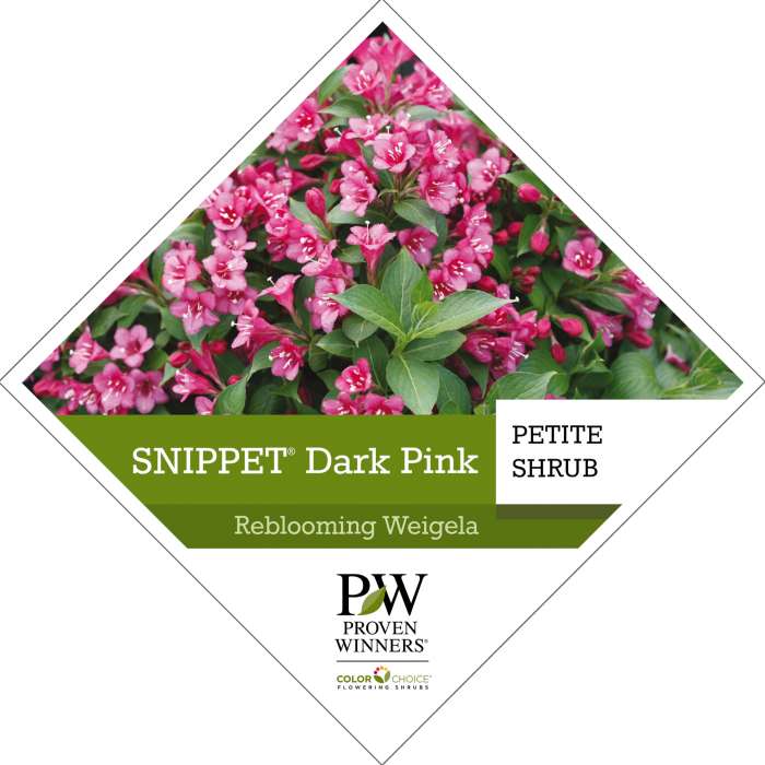 Preview of Snippet® Dark Pink Weigela Tag PDF
