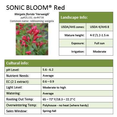 Preview of Sonic Bloom® Red Weigela Grower Sheet PDF