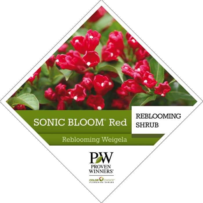 Preview of Sonic Bloom® Red Weigela Tag PDF
