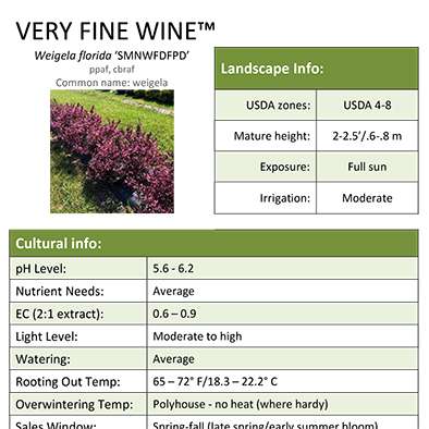Preview of Very Fine Wine® Weigela Grower Sheet PDF