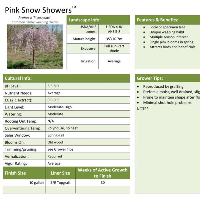 Preview of Pink Snow Showers Prunus Professional Grower Sheet PDF